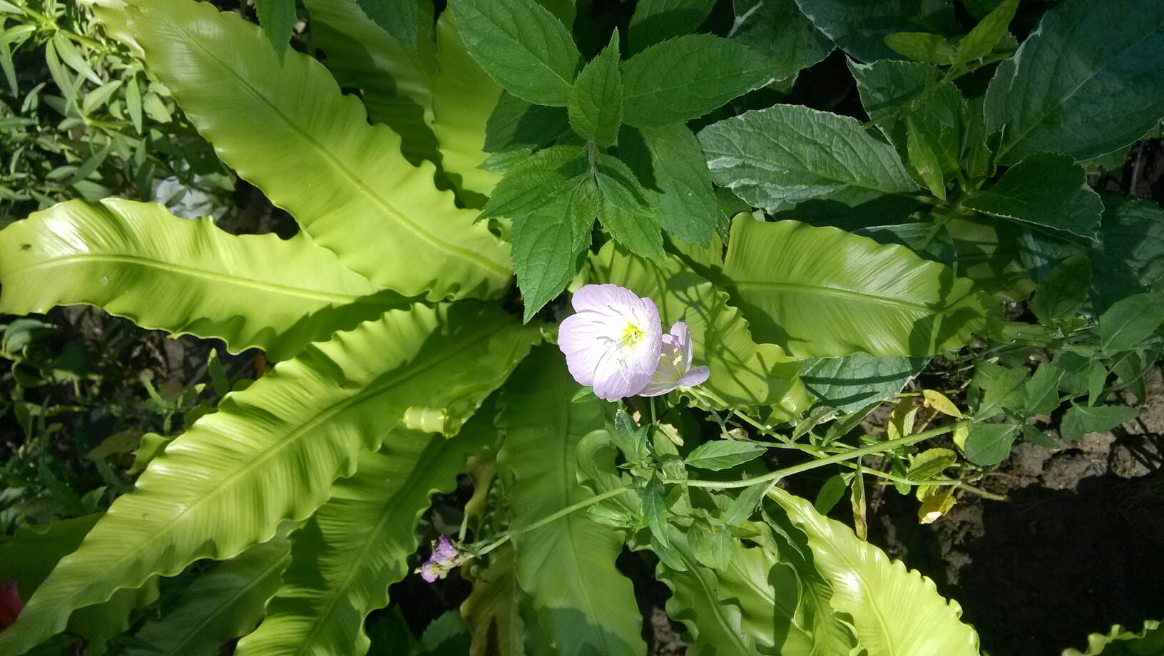 18成人片黄网站www