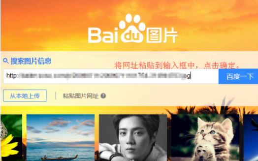 精品亚洲成a人无码成a在线观看